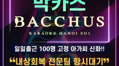 하노이 박카스 가라오케